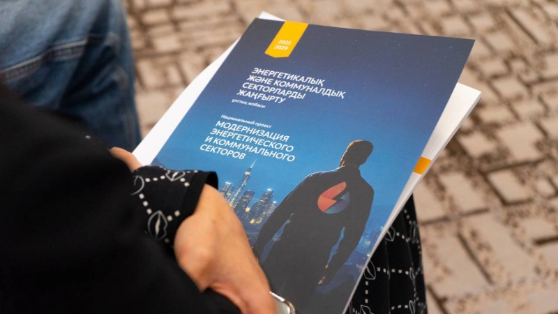 Мемлекеттік субсидиялар ЭКСЖ үшін қарыздарды арзандату құралы