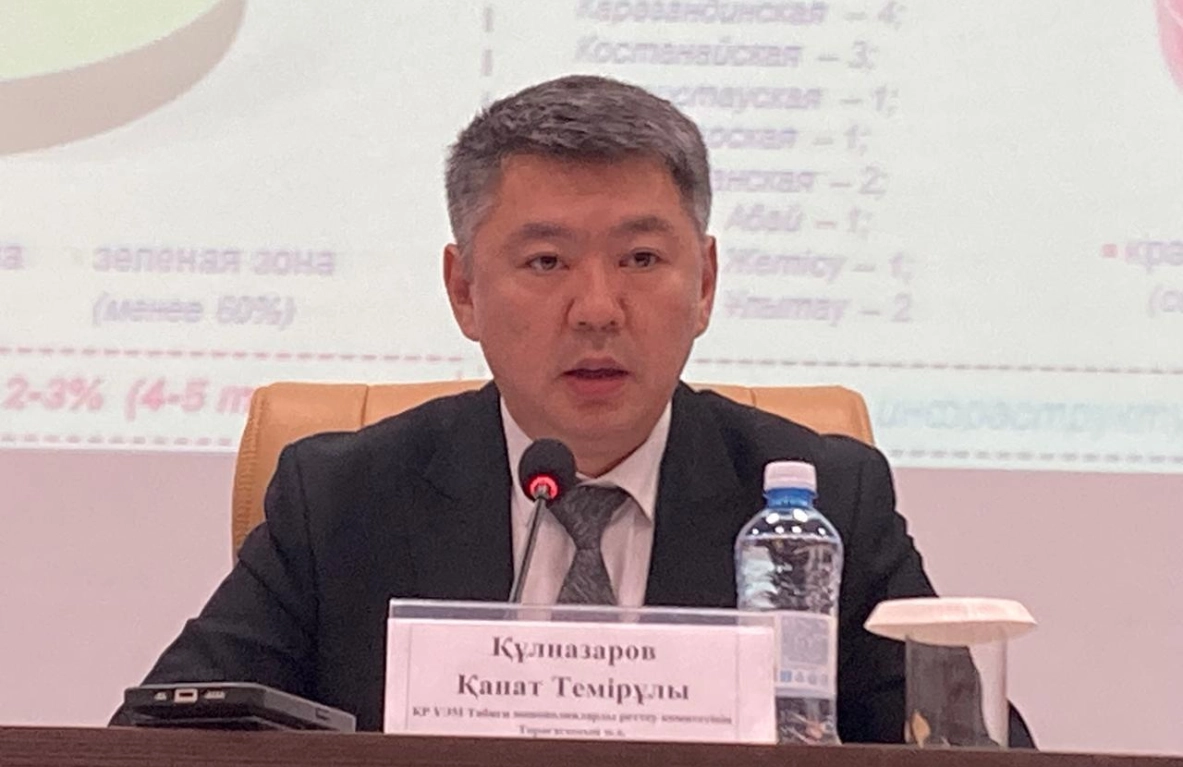 Канат Кульназаров, МЭКС, нацпроект - МЭКС