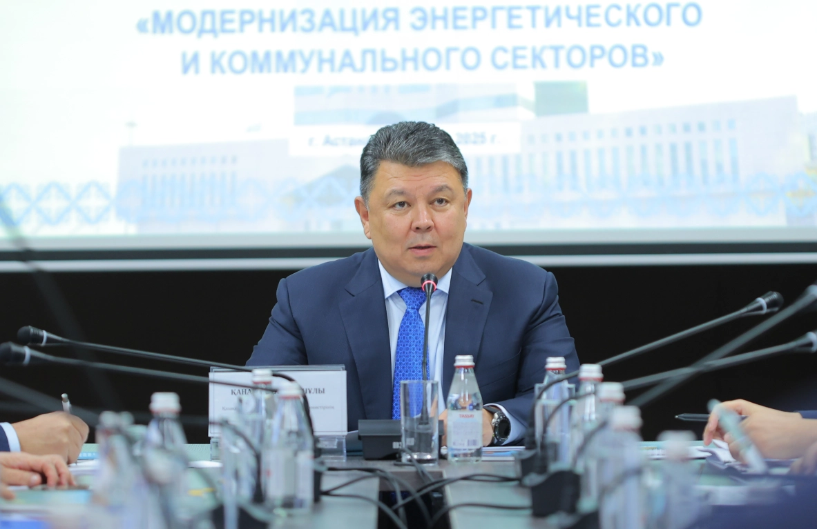 МЭКС, Общественный совет, пилотные проекты, финансирование - МЭКС