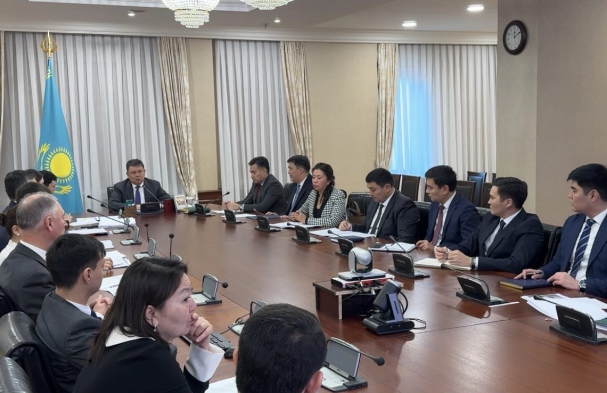 МЭКС, Бозумбаев, заседание проектной группы - МЭКС